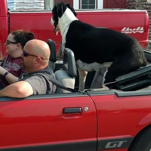 Meet your Posher, Jeff